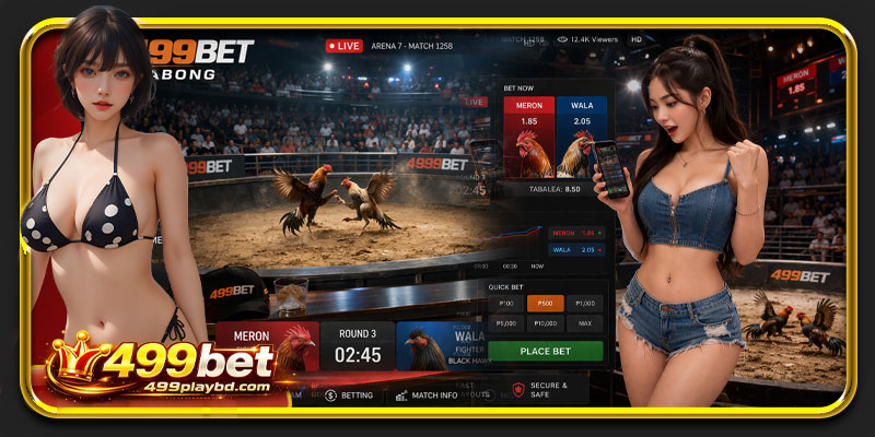 real time betting system on 499bet sabong platform